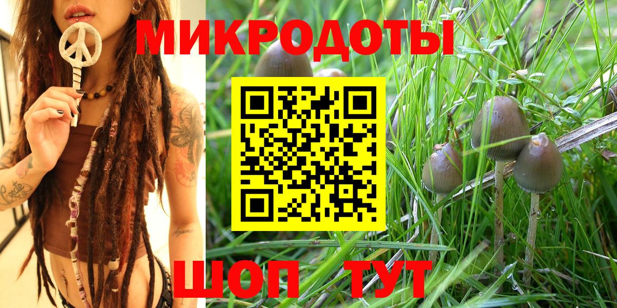 Псилоцибиновые грибы мицелий  Вход с VPN  Гусиноозёрск 